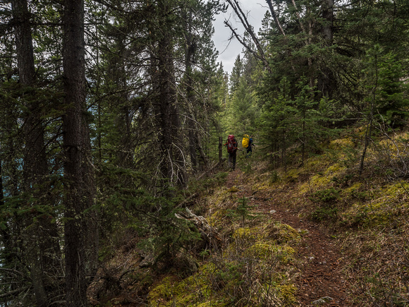 The trail around Glacier Lake does tend to gain and lose height more often then you'd like.