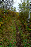 The trail has been recently maintained in the form of clearing vegetation from the sides, which makes hiking and horseback riding much more pleasant.