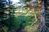 Hiking the Forbidden Creek Trail.