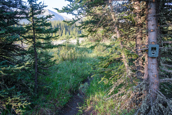 Hiking the Forbidden Creek Trail.