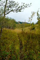 There are enough open meadows on the trail to enjoy the views.