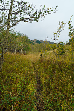 There are enough open meadows on the trail to enjoy the views.