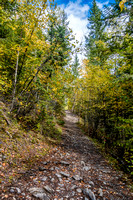 A pleasant trail leads up to the Whitehorn campground and the Valley of a Thousand Falls.