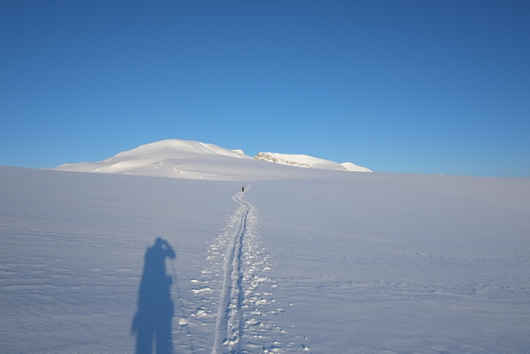 Skiing across the Wapta Icefield towards Mount Habel.