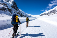 Skinning up the snow coach road on the Athabasca Glacier.