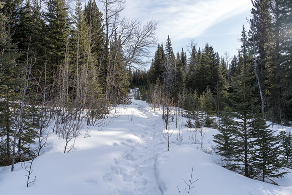 Hiking along an old snowshoe track around the east end of The Hat.