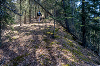 The forested north slopes of Old Baldy are surprisingly pleasant to hike through.