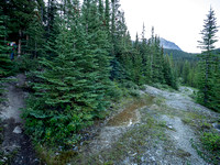 Hiking the north Wilcox Pass Trail from Tangle Falls.