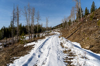 A snowmobile track up Michel Creek.