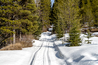 Continuing up the network of snowmobile tracks.