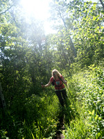 Yes - there's a well traveled trail under all this overgrowth!