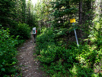 Entering the Don Getty Wildland Provincial Park.