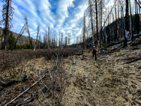 Hiking up the Indianhead Pass Trail through a burn area.