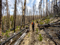 Hiking up the Indianhead Pass Trail through a burn area.