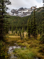 Cathedral Mountain is still a favorite of mine in the Lake O'Hara area.
