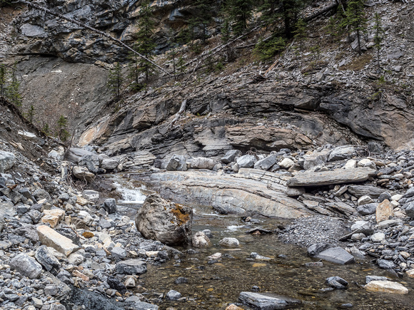 Both geologists got very excited by this obvious anticline along the creek.
