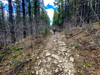 Hiking up the lower OHV track.