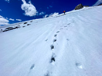 Wietse breaks trail up the SE slopes of Wingnut Peak.