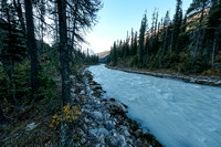 The Yoho River isn't that fierce first thing in the morning.