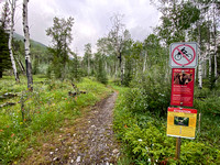 Starting up the Aylmer Pass trail. Hiking restrictions start in a few days due to grizzlies.