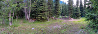 A large camp at the end of the bike ride up North Burnt Timber Creek.