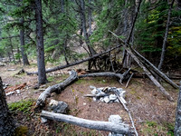 A campsite up Jura Creek.