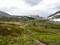 The trail to Citadel Pass.