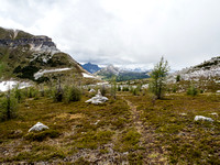 Looking back towards Citadel Pass from the faint trail.