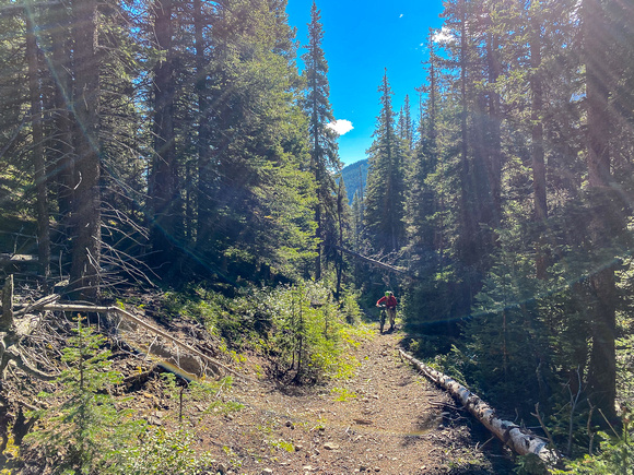 Approaching the Fording Pass area on the Baril Creek trail.