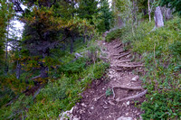 The trail ascends steeply up the nose of the NW ridge.