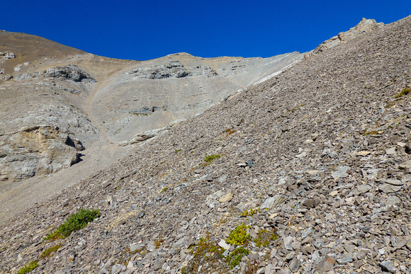 Hiking and side hilling above Sheep Creek to the SW bowl under the summit of Otuskwan.