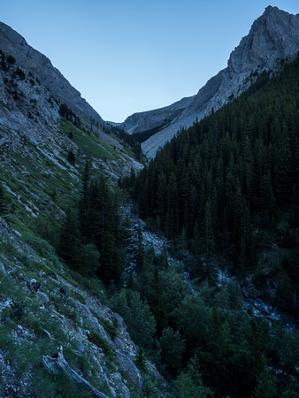 Nice and cool in the early morning as I ascend the steep and direct Grizzly Creek Trail.