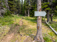 A barely readable sign pointing towards Douglas Lake. Don't expect a trail though!