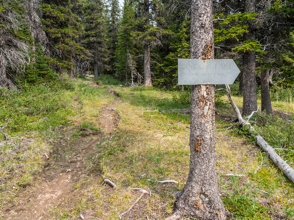 A barely readable sign pointing towards Douglas Lake. Don't expect a trail though!