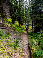 A dry and pleasant stroll along the Skoki Pass trail.