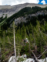 The problem with avalanche debris and trees on avalanche slopes is that they all lean downhill.