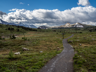 Sunshine Meadows awaits. We'll take the much smaller left hand trail towards Citadel Pass from here.