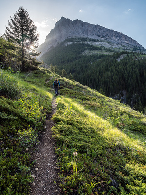 A gorgeous morning on the trail ascending the south banks of Grizzly Creek.