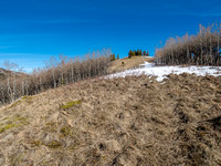 Final slope to the treed summit.