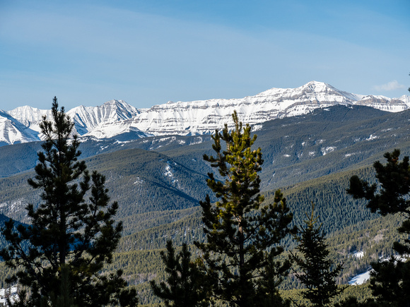 The long summit ridge of Bluerock Mountain is visible through trees to the SW.