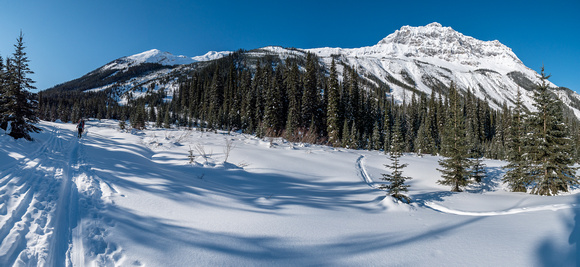 The lower approach to Mount Field which is still mostly hidden left of center. This photo shows the steeper avalanche chutes that can be skied on descent at right of center