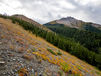 Views towards Southfork Mountain from the west ridge.