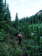 Watermelon Peak (Click to Load Album)