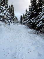 Now it's really starting to feel like winter! I guess the hiking and scrambling season is officially over for the year.