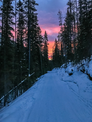 A nice sunrise behind me as I skin up the Sunshine Ski-Out.