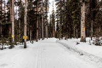 The wide, groomed trail is about the end after reaching the Banff National Park boundary.