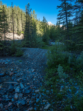 The OHV track runs through and around the creek, impressively avoiding major debris fields from the 2013 floods.