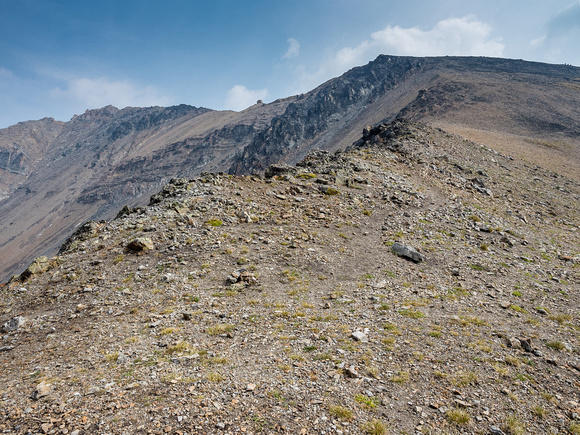 Looking up the easy west slopes of Grizzly Ridge. The summit is at upper left.
