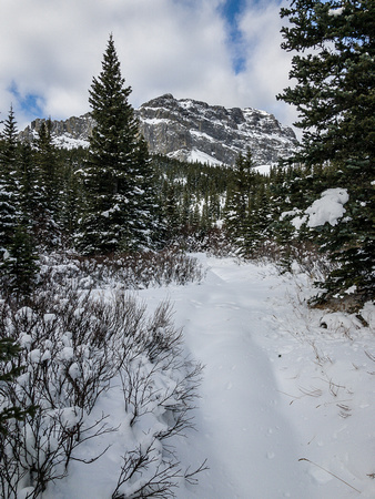 Even with no recent tracks and fresh snow, the trail was pretty darn obvious.