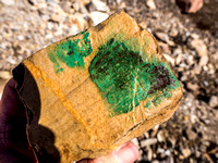A very green coating on this rock. Not paint.